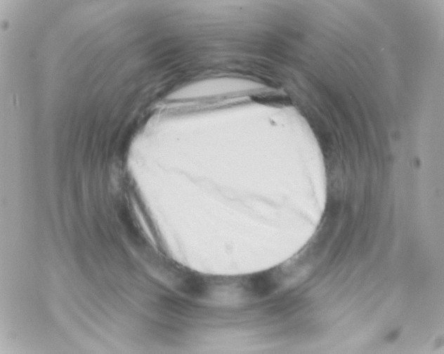 X0000069830175200606161949