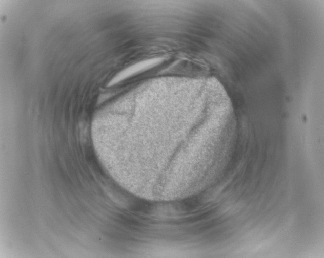 X0000069830177200606161949