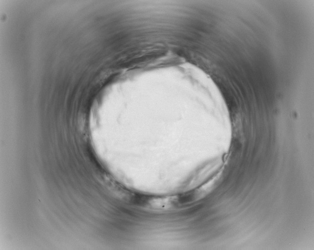 X0000069830178200606161949