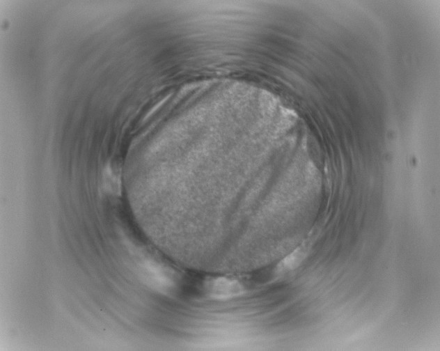 X0000069830180200606161949