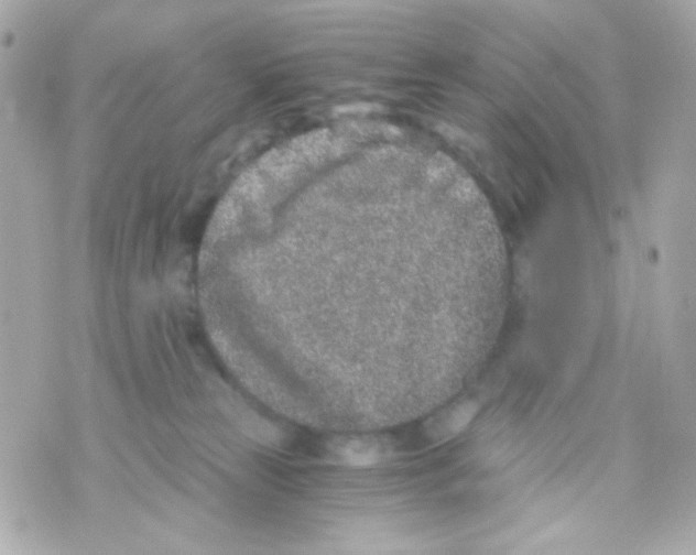 X0000069830181200606161949