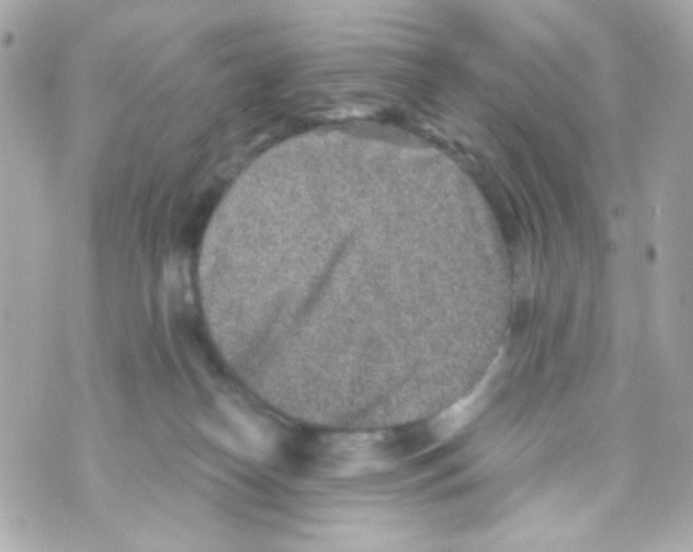 X0000069830182200606161949