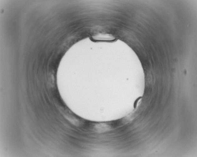 X0000069830183200606161949