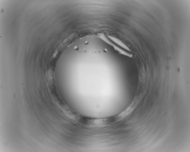 X0000069830184200606161949