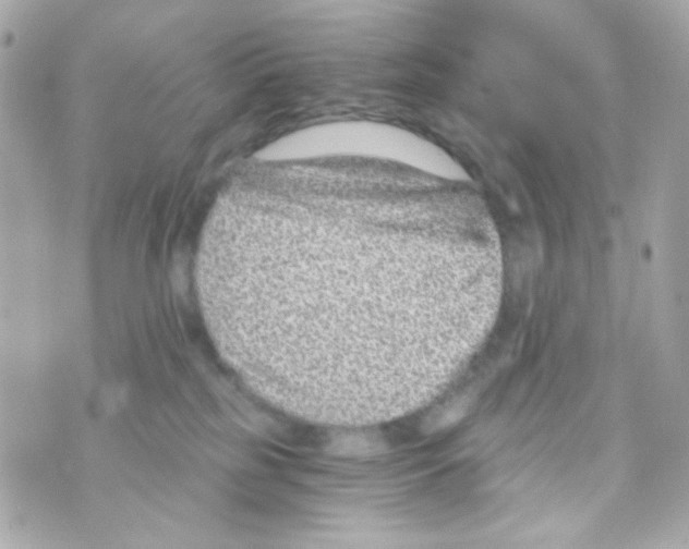 X0000069830185200606161949