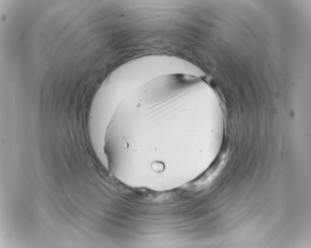 X0000069830186200606161949