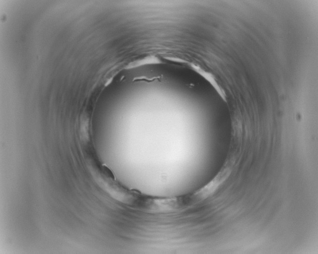 X0000069830188200606161949