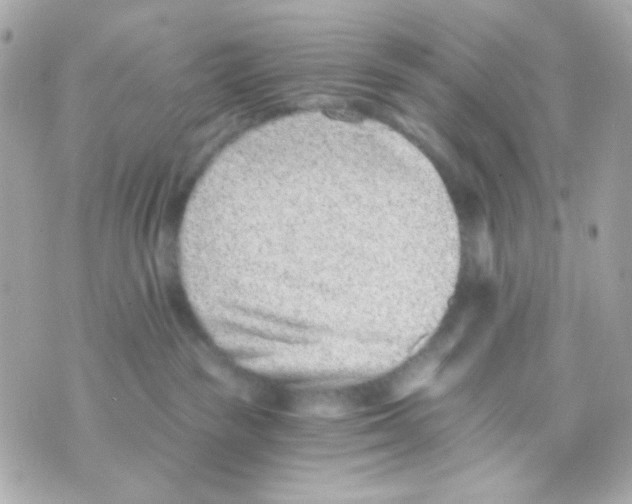 X0000069830189200606161950