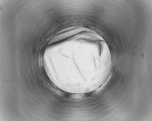 X0000069830191200606161950