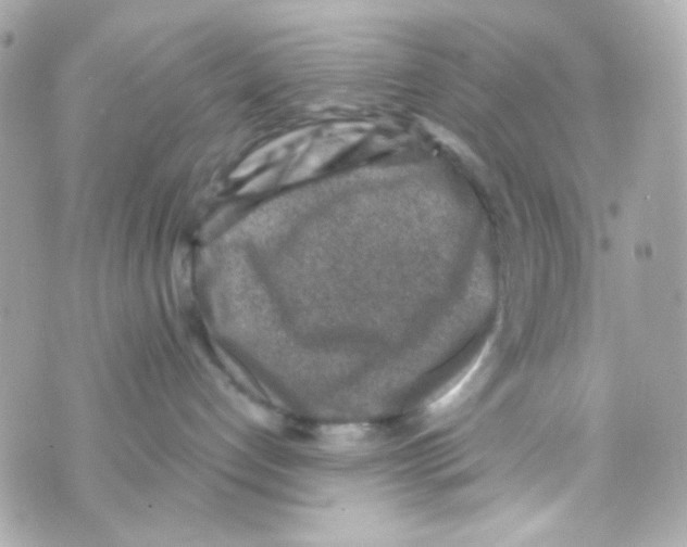 X0000069830192200606161950