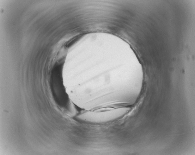 X0000069830193200606161949