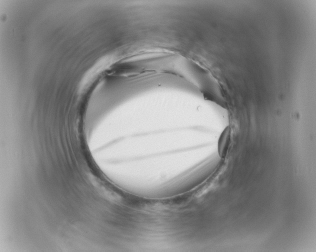 X0000069830197200606161949