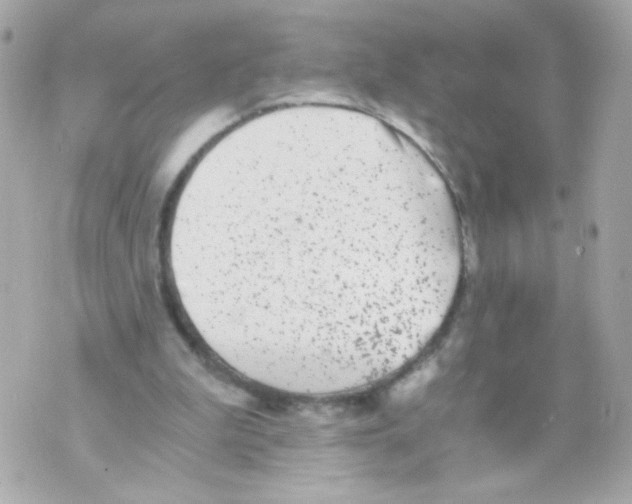 X0000069830199200606161949