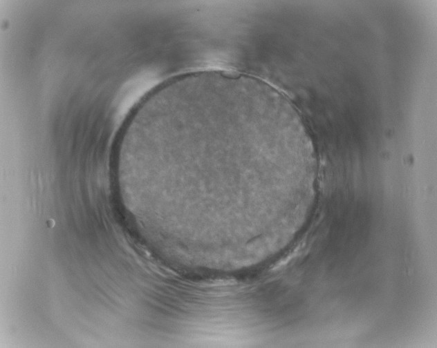 X0000069830200200606161949