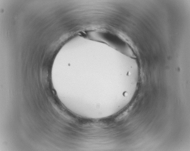 X0000069830201200606161949