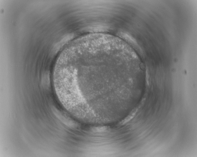 X0000069830202200606161949