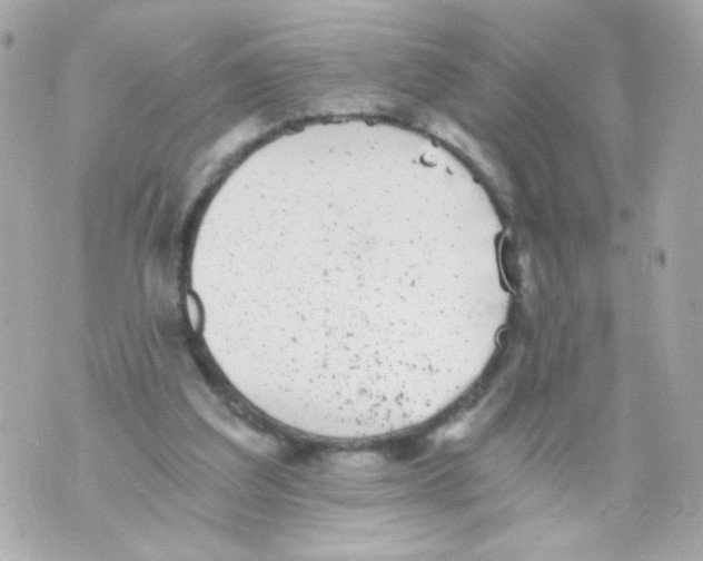 X0000069830203200606161949