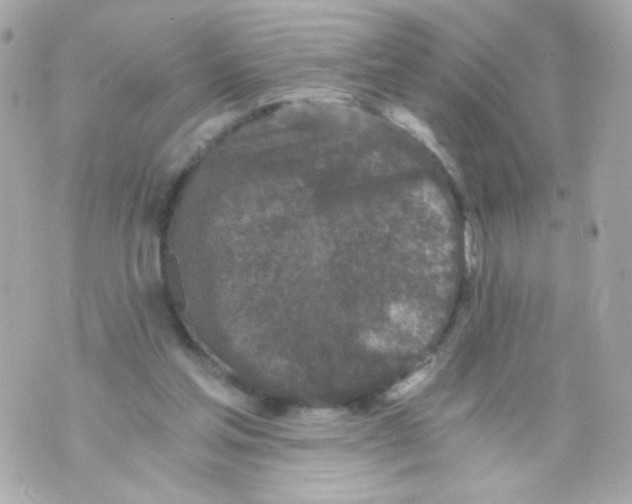 X0000069830205200606161949