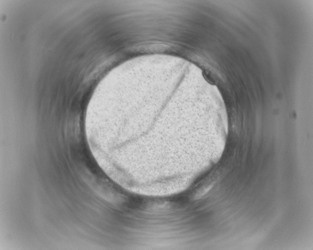 X0000069830206200606161949