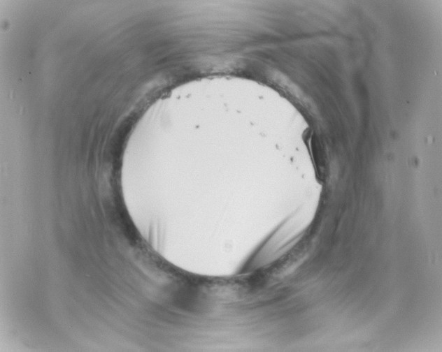 X0000069830209200606161948