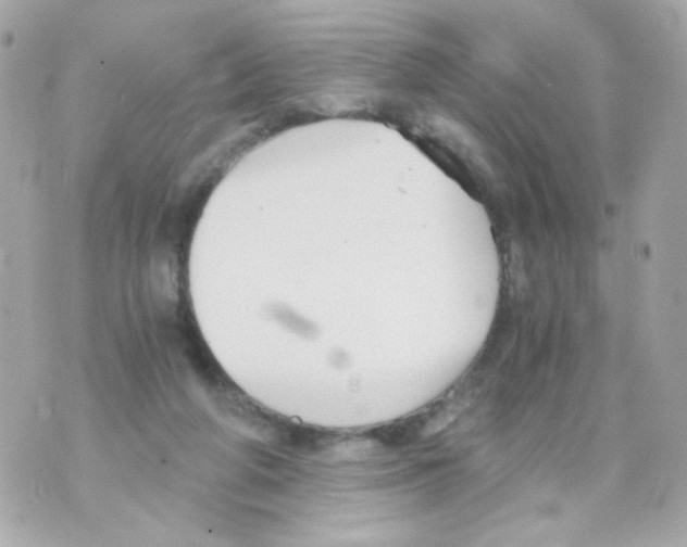 X0000069830210200606161948