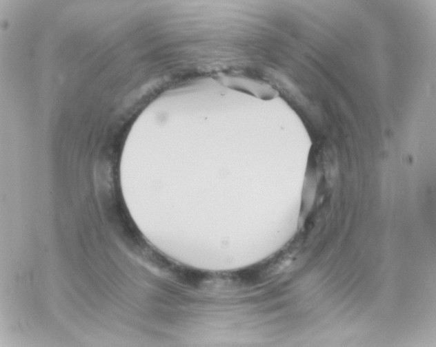 X0000069830211200606161948