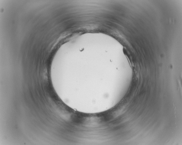 X0000069830212200606161948