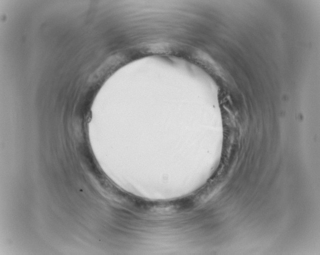 X0000069830213200606161948