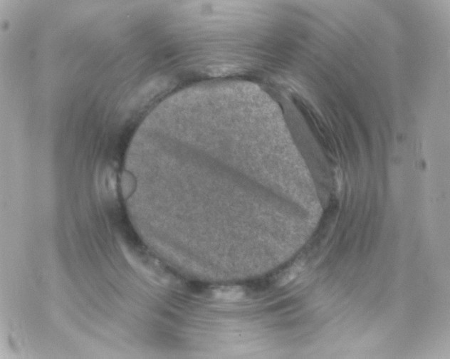 X0000069830214200606161948