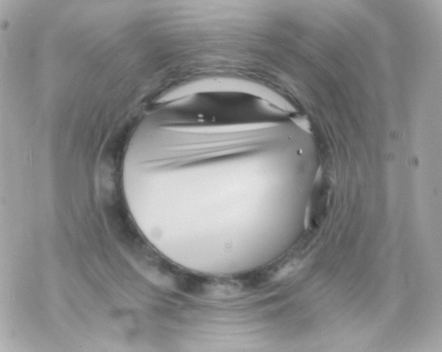 X0000069830215200606161948