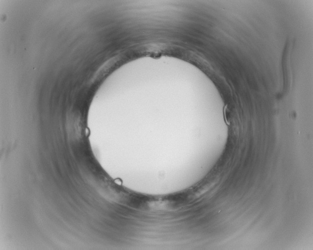 X0000069830216200606161948