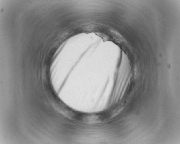 X0000069830217200606161948