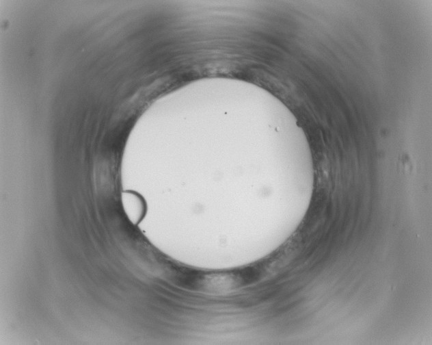 X0000069830218200606161948