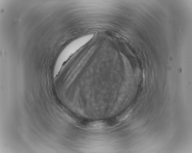 X0000069830219200606161948