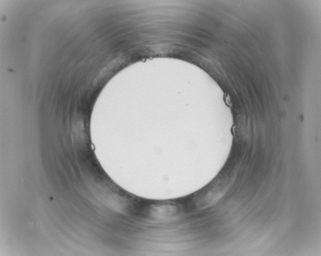 X0000069830220200606161948