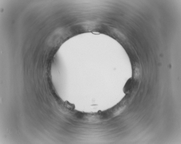 X0000069830221200606161948