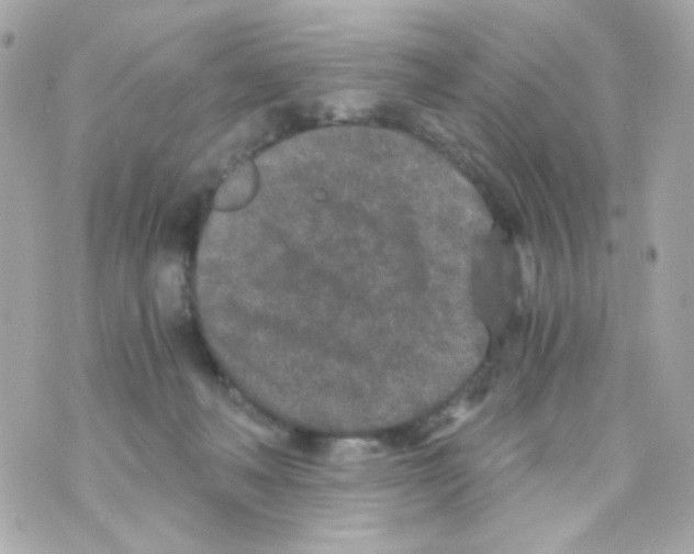 X0000069830222200606161948