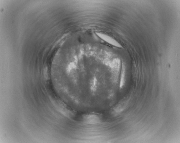 X0000069830224200606161948