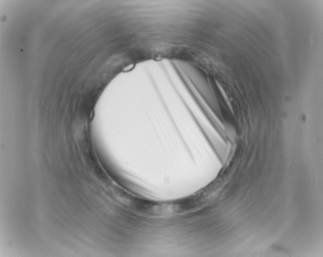 X0000069830225200606161948