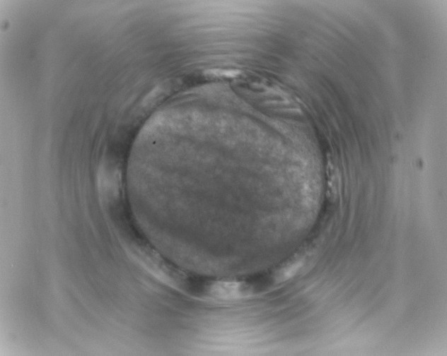 X0000069830227200606161948