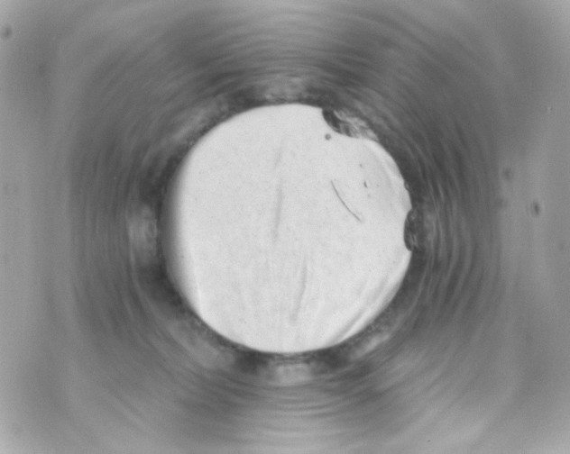 X0000069830228200606161948