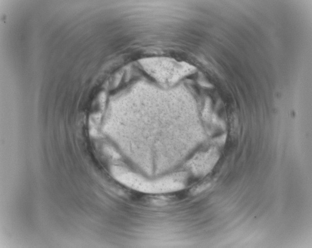 X0000069830229200606161948