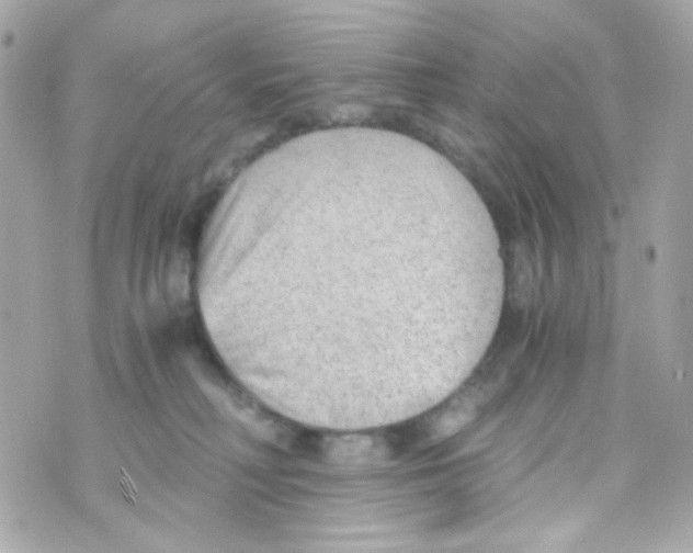 X0000069830230200606161948