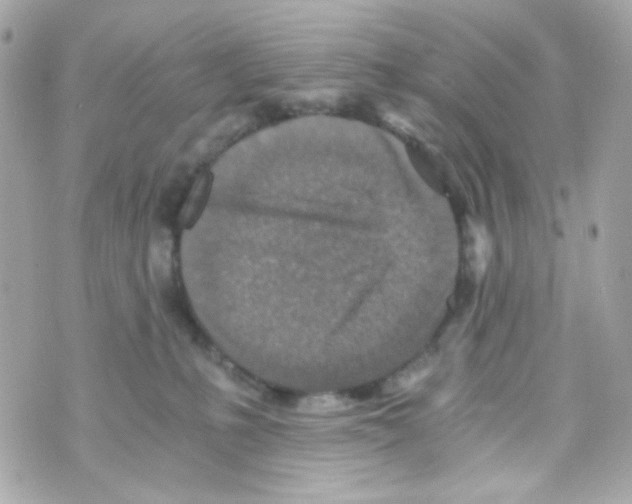 X0000069830231200606161948