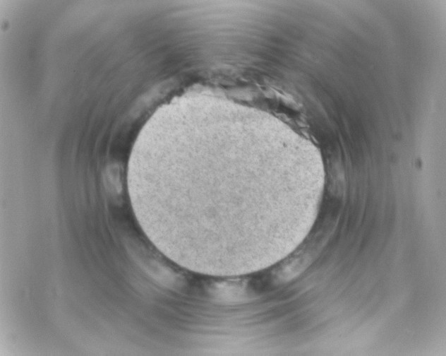 X0000069830232200606161948