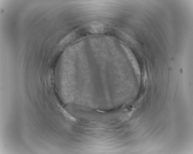 X0000069830233200606161948