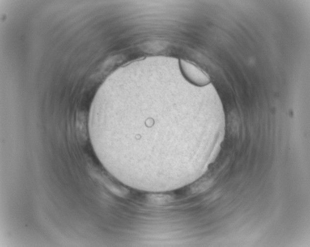 X0000069830234200606161948