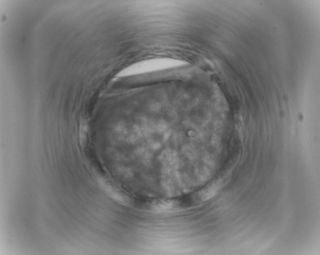 X0000069830235200606161948