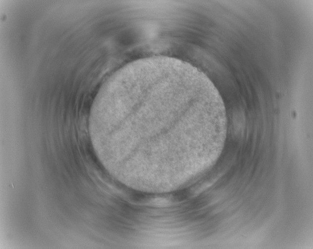 X0000069830236200606161948