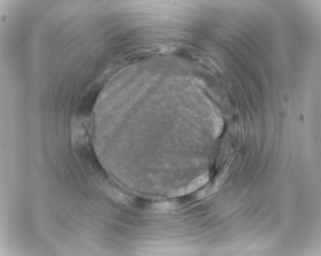 X0000069830237200606161948